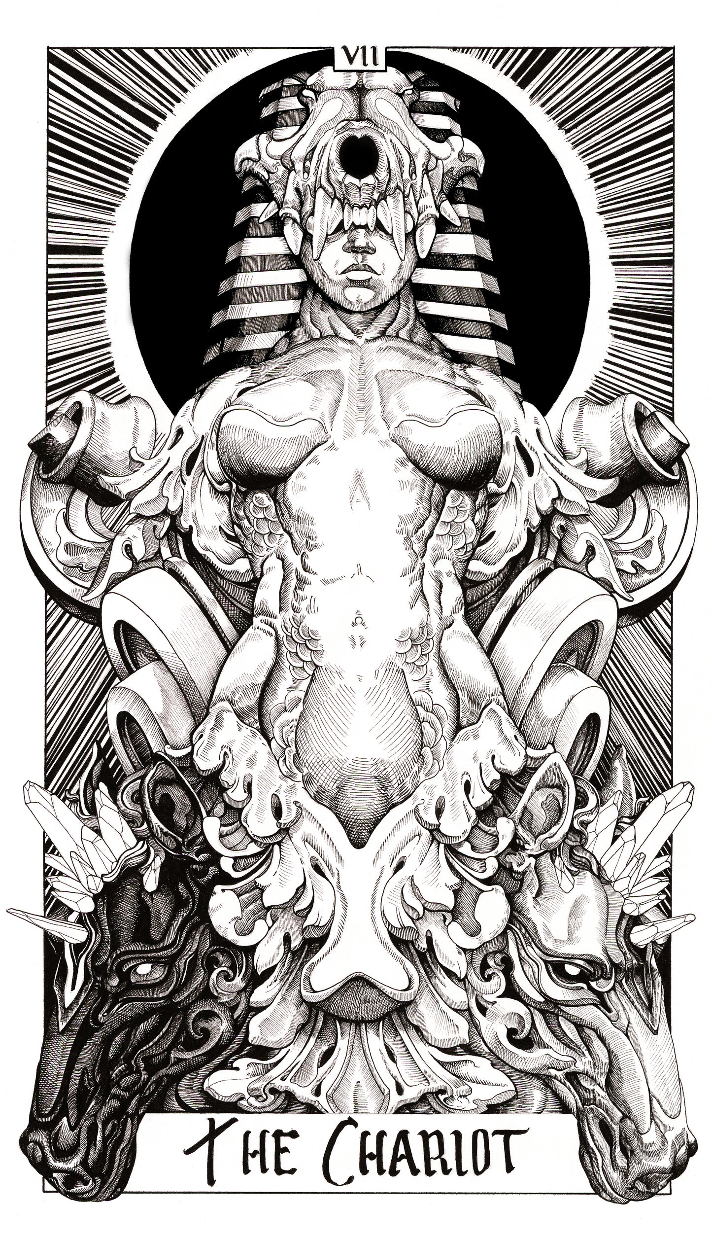 Major Arcana Tarot Cards | The Chariot
