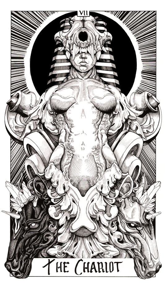 Major Arcana Tarot Cards | The Chariot
